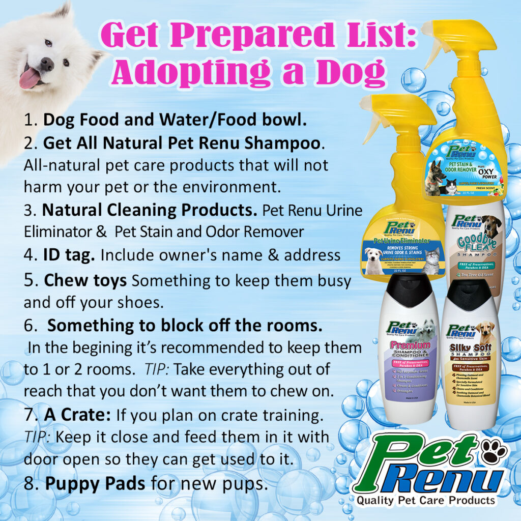 doge article on adopting a new pet use natural pet products pet renu